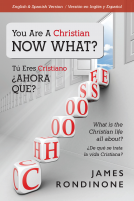 book cover for YOU ARE A CHRISTIAN NOW WHAT?
