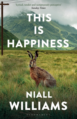 book cover for This Is Happiness
