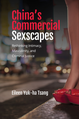 book cover for China’s Commercial Sexscapes