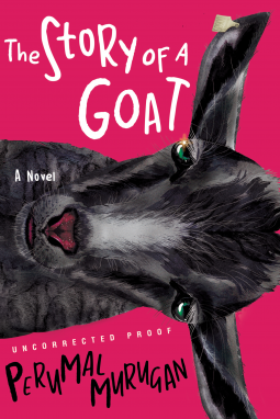 book cover for The Story of a Goat