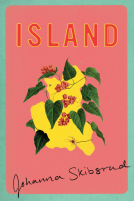 book cover for Island