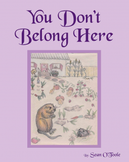 book cover for You Don't Belong Here