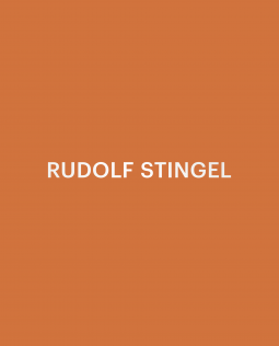 Buchcover für Rudolf Stingel