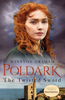 book cover for The Twisted Sword