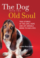 book cover for The Dog with the Old Soul
