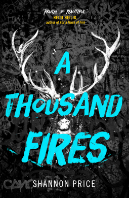 book cover for A Thousand Fires