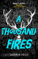 book cover for A Thousand Fires