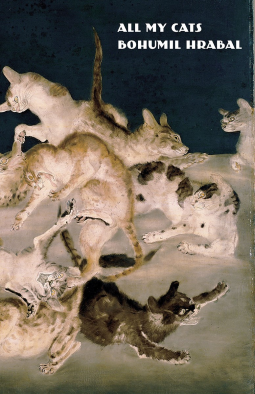 book cover for All My Cats