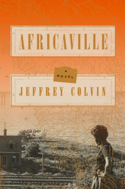 book cover for Africaville