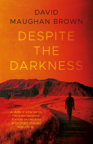 book cover for Despite the Darkness
