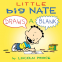 Cover Image: Little Big Nate