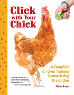 book cover for Click with Your Chick