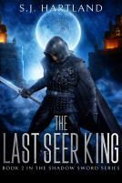 book cover for The Last Seer King