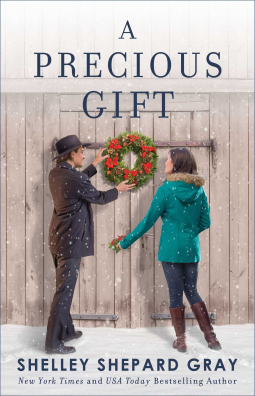 book cover for A Precious Gift