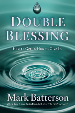 book cover for Double Blessing