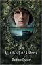 Cover Image: The Click of a Pebble
