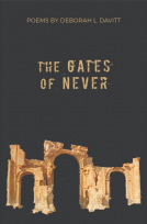 book cover for The Gates of Never