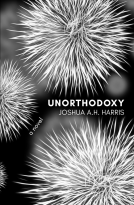 book cover for Unorthodoxy