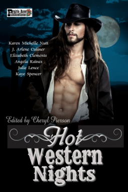 book cover for Hot Western Nights