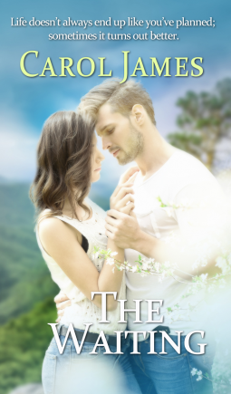 book cover for The Waiting