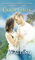 book cover for The Waiting