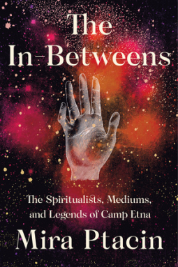 book cover for The In-Betweens