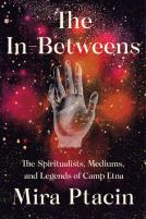 book cover for The In-Betweens