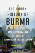 book cover for The Hidden History of Burma