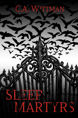 book cover for Sleep Martyrs