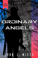 book cover for Ordinary Angels