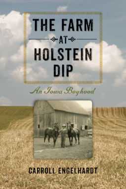 book cover for The Farm at Holstein Dip