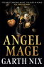 Cover Image: Angel Mage