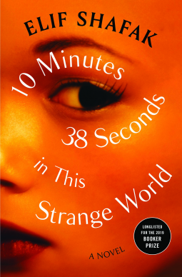 book cover for 10 Minutes 38 Seconds in This Strange World