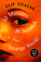 book cover for 10 Minutes 38 Seconds in This Strange World