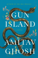 book cover for Gun Island