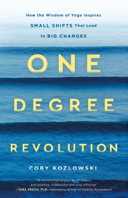 book cover for One Degree Revolution