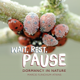 book cover for Wait, Rest, Pause