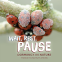 Cover Image: Wait, Rest, Pause