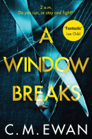 book cover for A Window Breaks