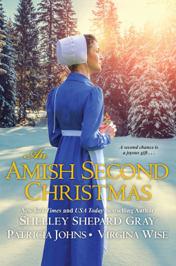 book cover for An Amish Second Christmas