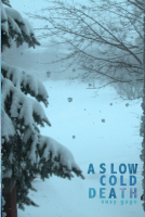 book cover for A Slow Cold Death