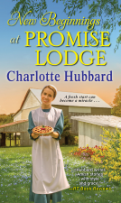 book cover for New Beginnings at Promise Lodge