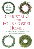 book cover for Christmas in the Four Gospel Homes
