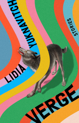 book cover for Verge