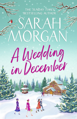 book cover for A Wedding In December