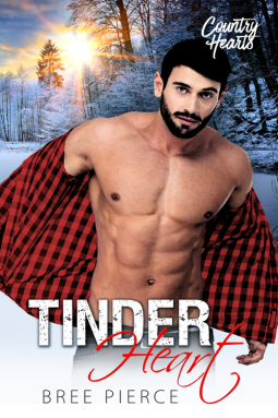 book cover for Tinder Heart
