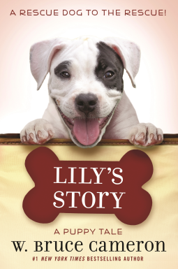 book cover for Lily's Story
