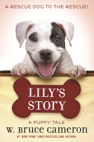 book cover for Lily's Story