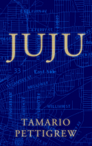 book cover for JUJU