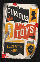 book cover for Curious Toys